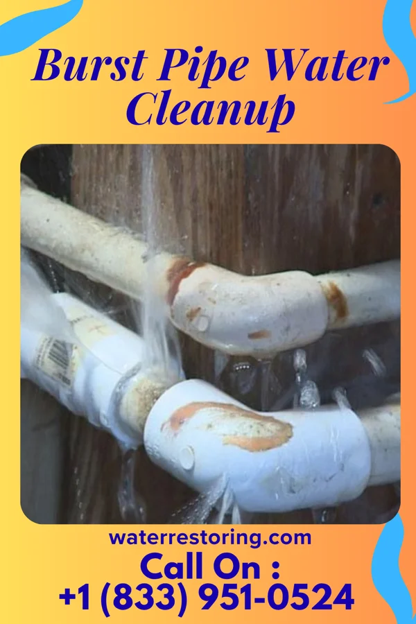 Burst Pipe Water Cleanup in Strawberry, AR